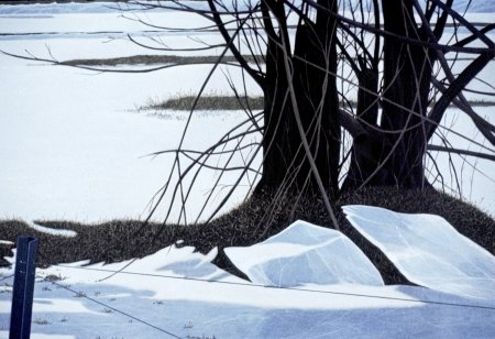 18-acryl-op-linnen-60x 50cm-titel-winter