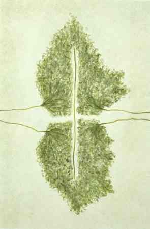 Aquarellen 2025 - heden