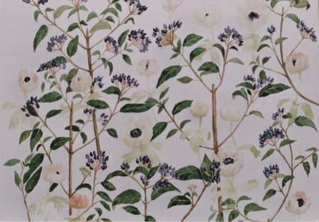 anemonen-en-viburnum