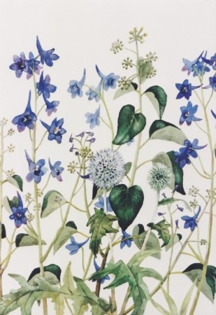 delfinium-en-distels