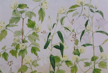 lelies-en-sneeuwballen-20