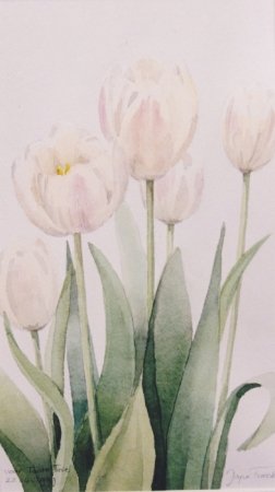 tulpen