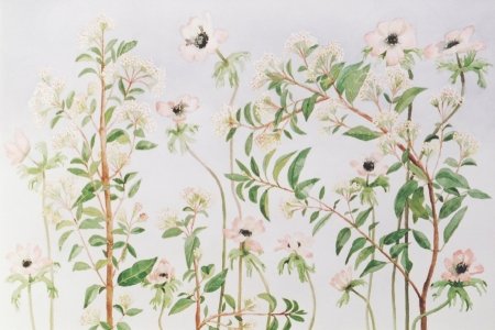 viburnum-en-anemonen