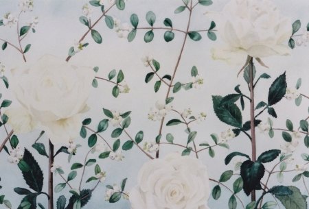 witte-rozen-en-sneeuwbes