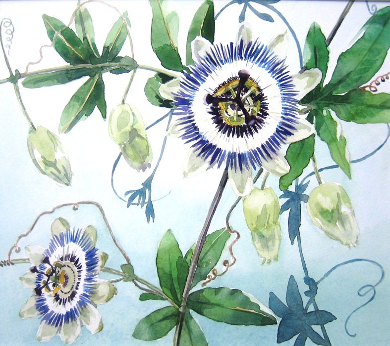 Joyce Turek portfolio