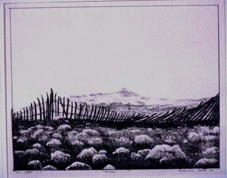 borderline-litho-cor