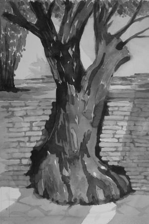 P1150608-30-X-40cm
