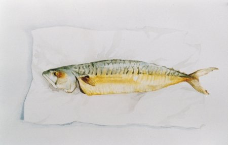 vis
